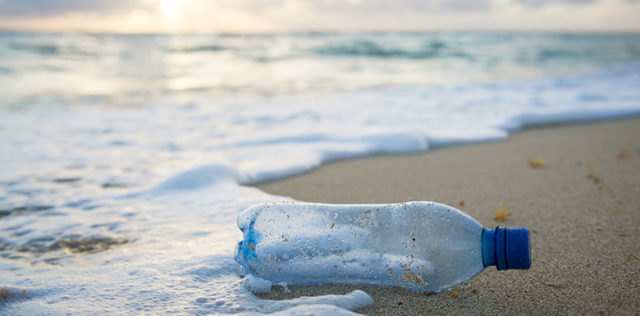 Attorney Haskins Discusses the Legal Threat to Florida’s Springs