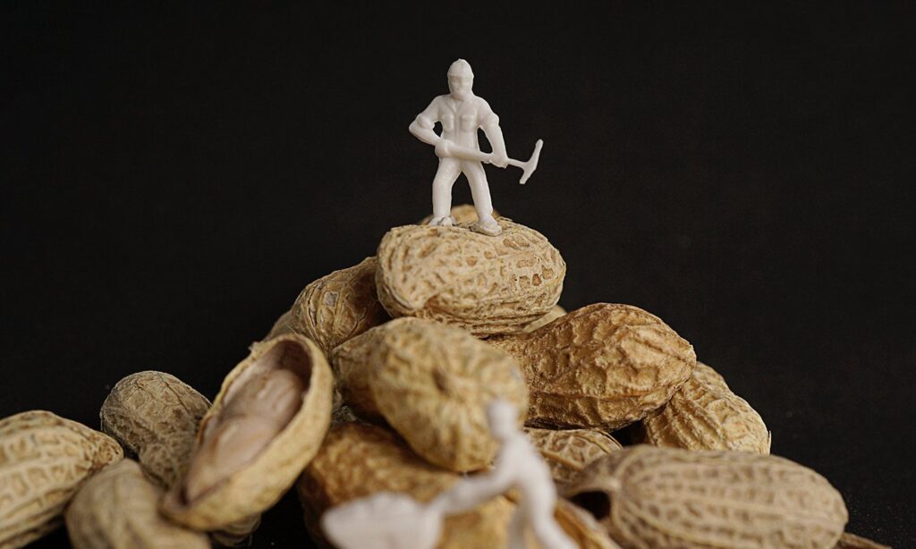 Peanut Growers Win Antitrust Case Against Big Buyers