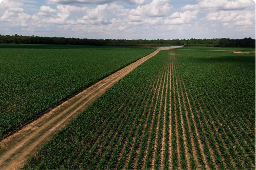 Haskins talks about community supported agriculture and conservation easements in the Ag Law Today podcast